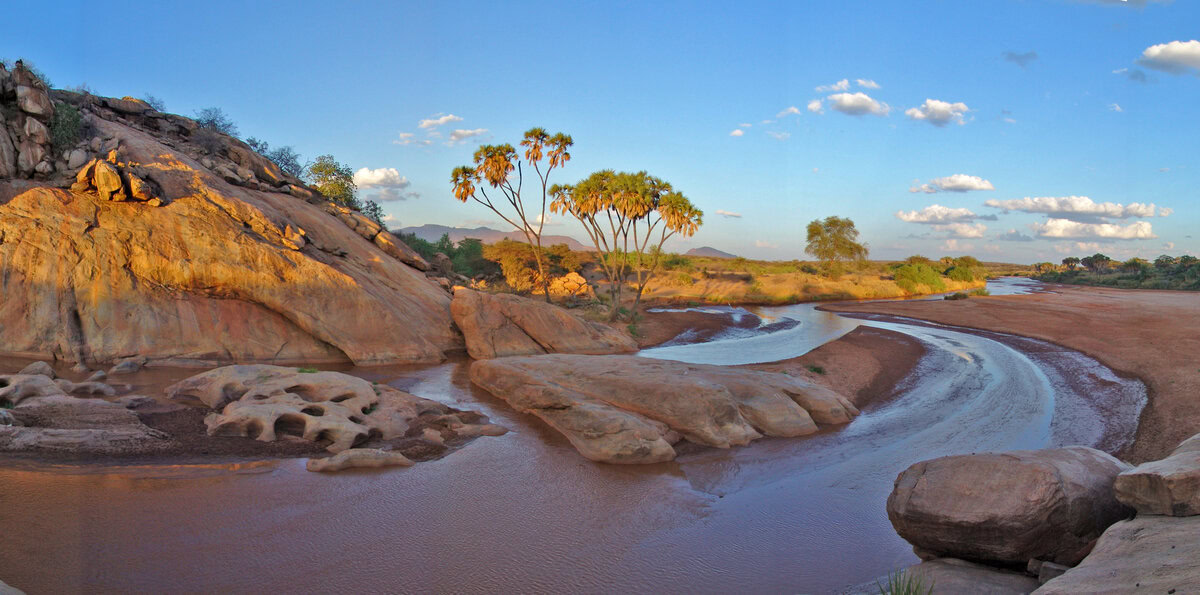 Shaba Kenia. Foto: Andrew Nightingale