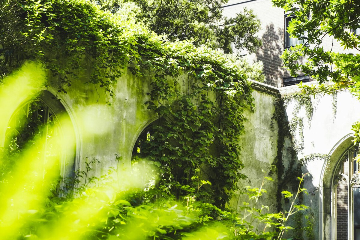St Dunstan in the East Church Garden, Saint Dunstan's Hill, London, UK.