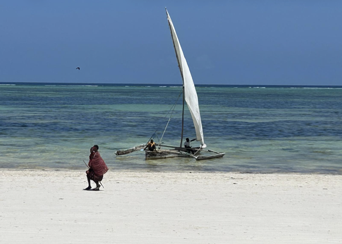 Strand auf Sansibar. Foto: Andrew Nightingale
