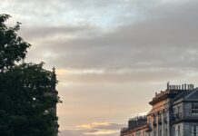 Vegan essen in Edinburgh: Warum es hier leichter ist als in Berlin oder London Veganes Gericht serviert in einem Restaurant in Edinburgh